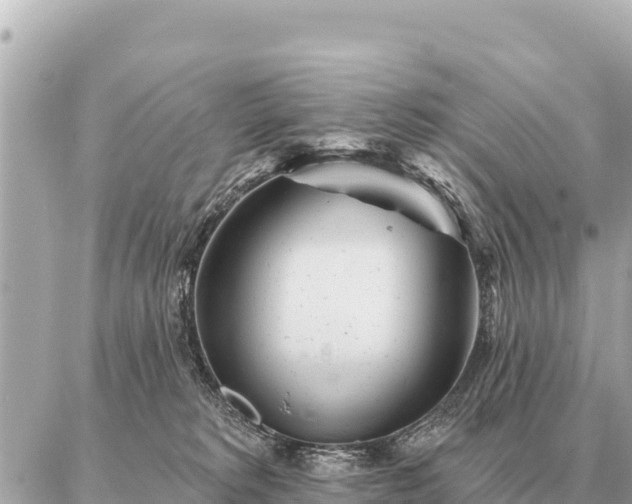 X0000086980229200704231827