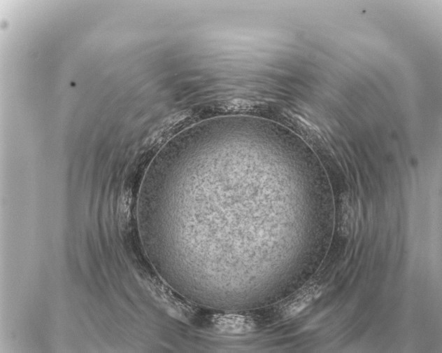 X0000086980230200704231827