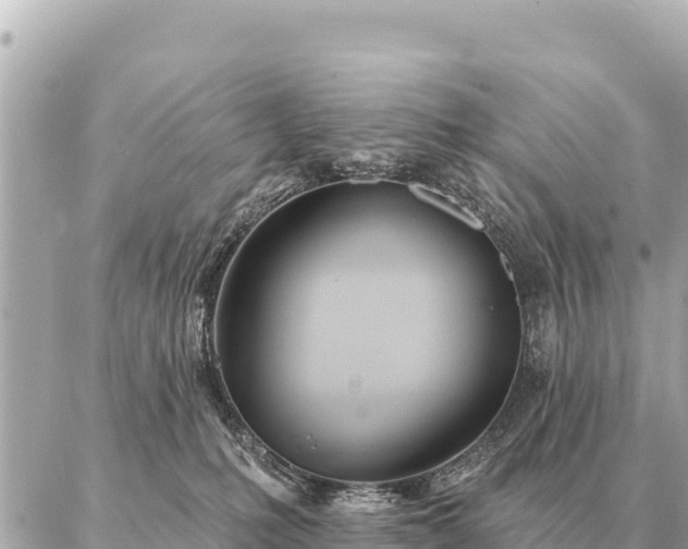 X0000086980231200704231827