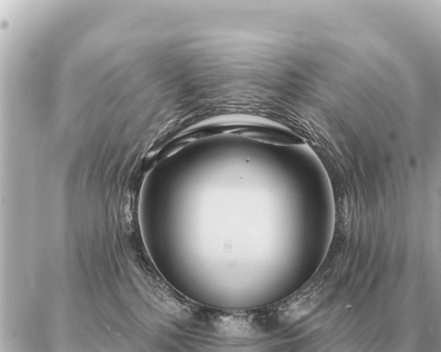 X0000086980232200704231827