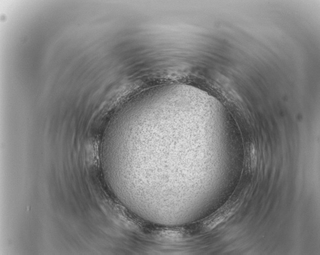 X0000086980236200704231827