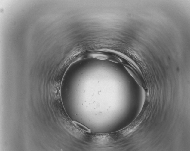 X0000086980237200704231827