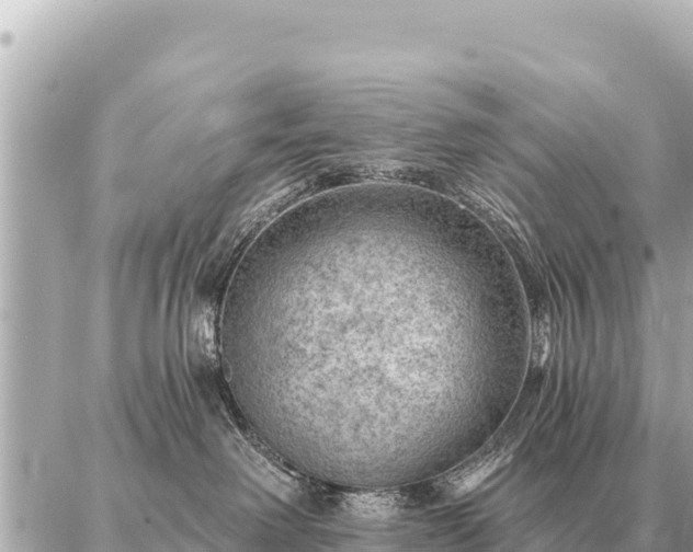 X0000086980238200704231827