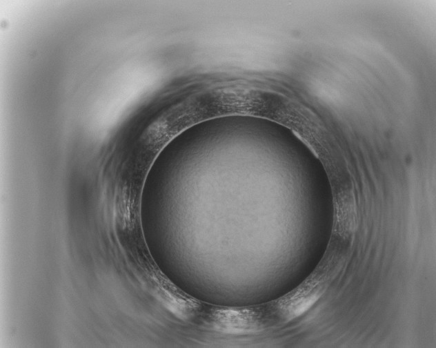 X0000086980239200704231827