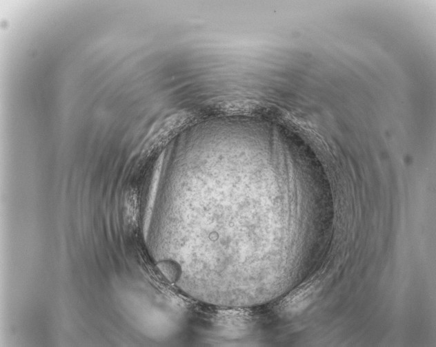 X0000086980240200704231827