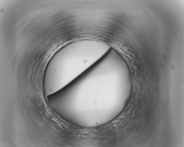 X0000086980241200704231826