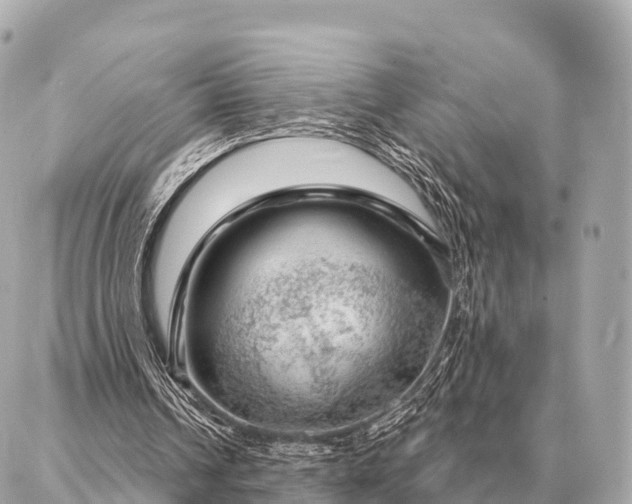 X0000086980242200704231826