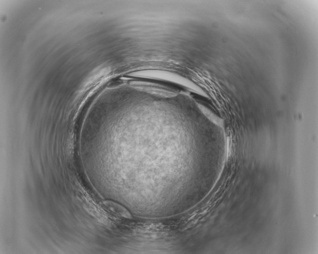 X0000086980243200704231826