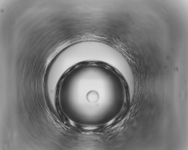 X0000086980244200704231826