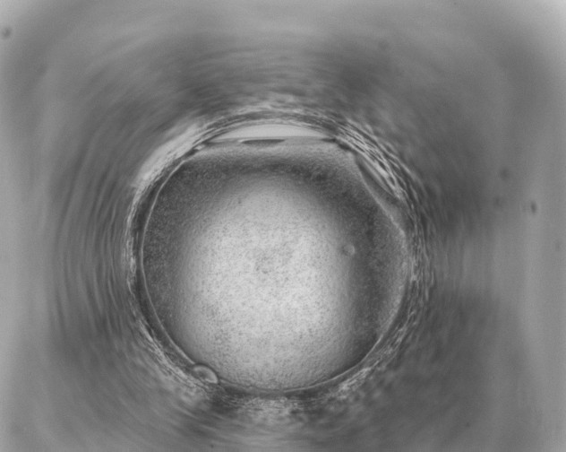 X0000086980245200704231826