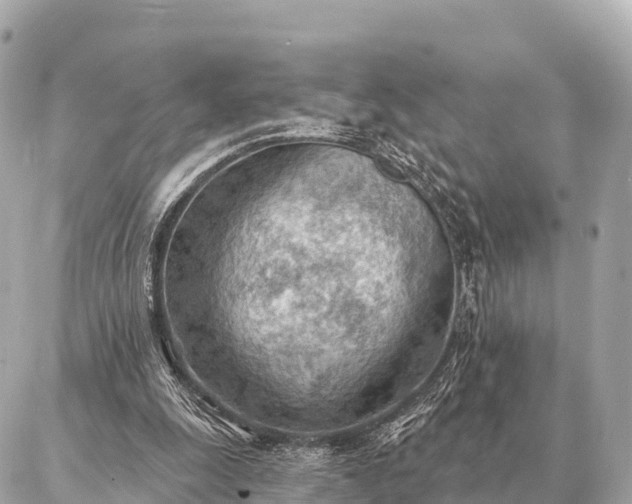 X0000086980247200704231826