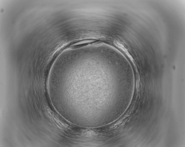 X0000086980249200704231826