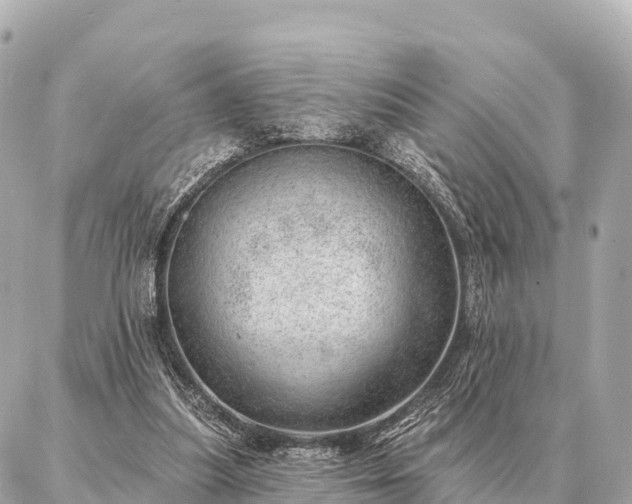 X0000086980251200704231826