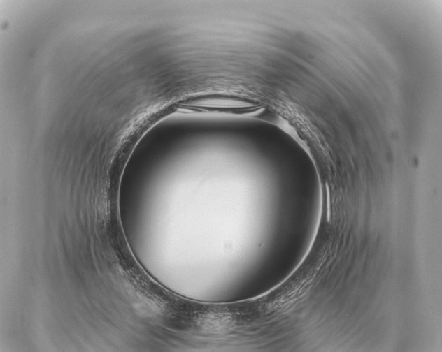 X0000086980252200704231826