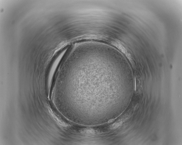 X0000086980253200704231826