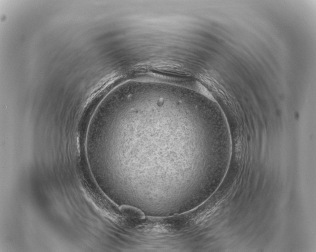 X0000086980254200704231826