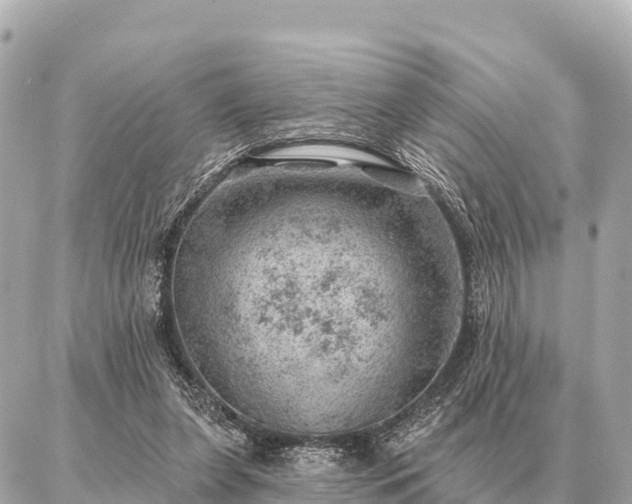 X0000086980255200704231826