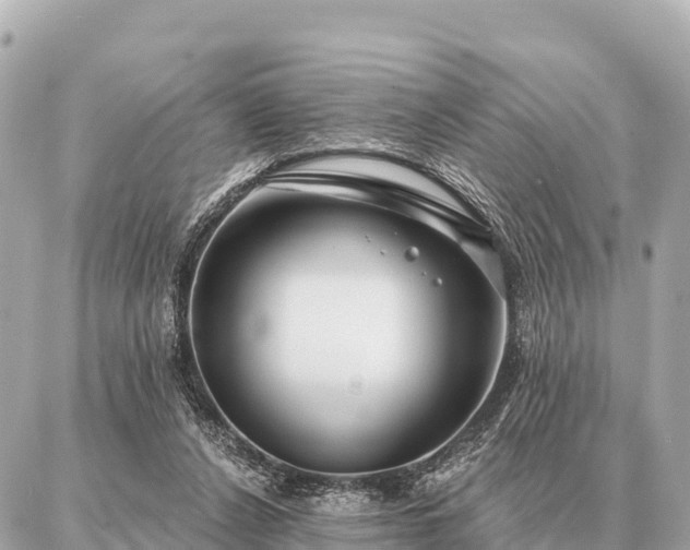 X0000086980256200704231826