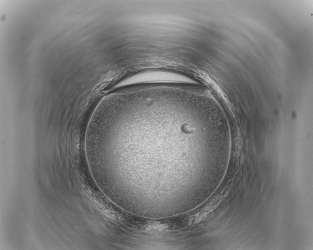 X0000086980257200704231826