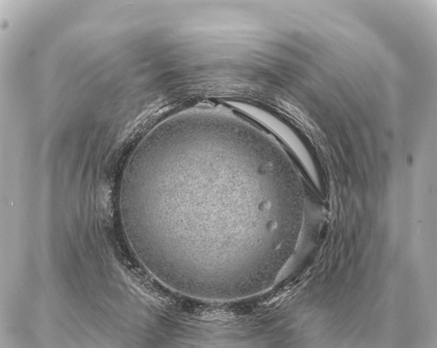 X0000086980258200704231826