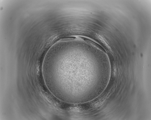 X0000086980259200704231827