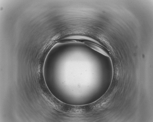 X0000086980260200704231827