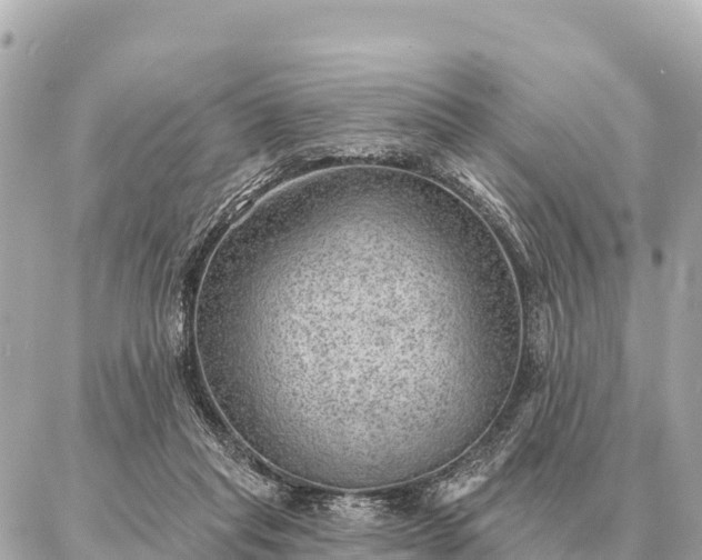 X0000086980261200704231827