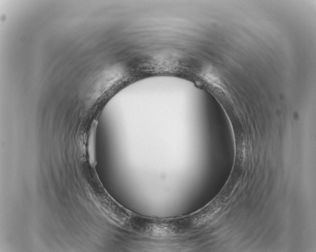 X0000086980264200704231827