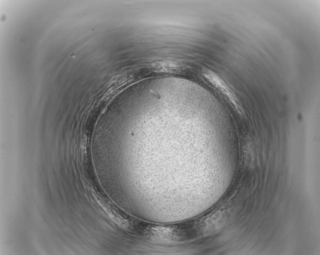 X0000086980265200704231827