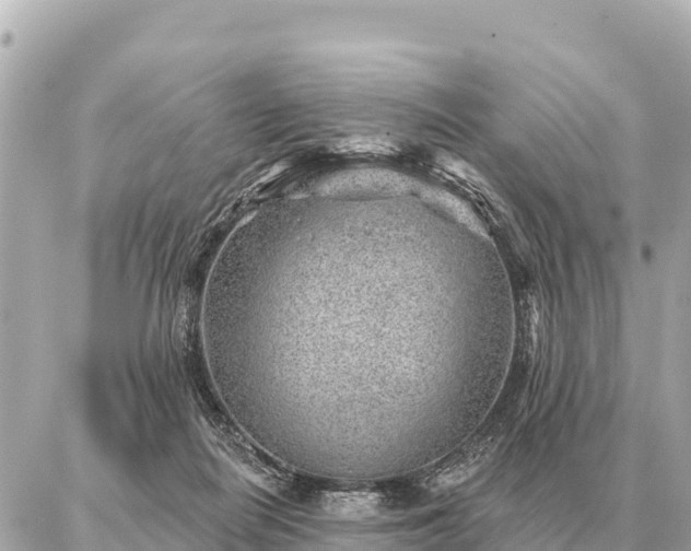 X0000086980266200704231827