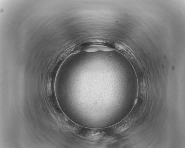 X0000086980267200704231827