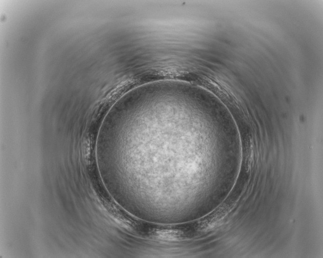 X0000086980268200704231827