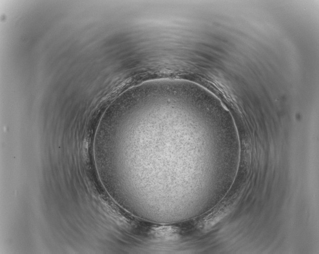 X0000086980269200704231827