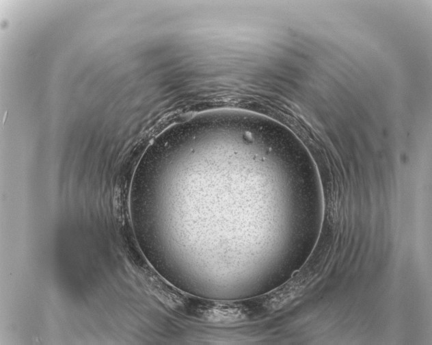 X0000086980270200704231827