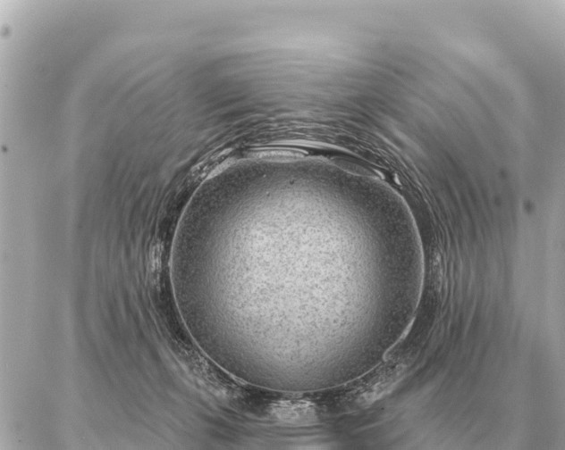 X0000086980271200704231827