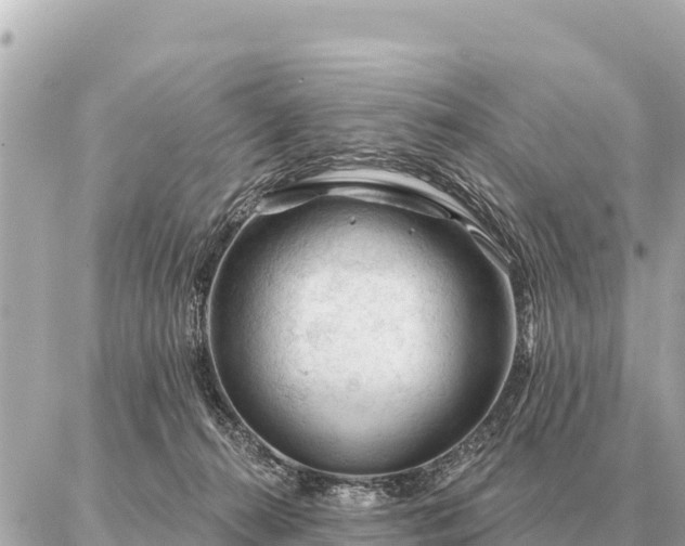 X0000086980272200704231827