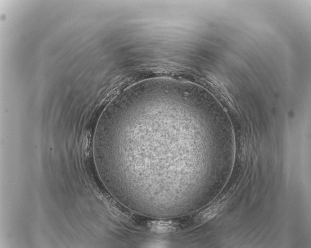 X0000086980273200704231827