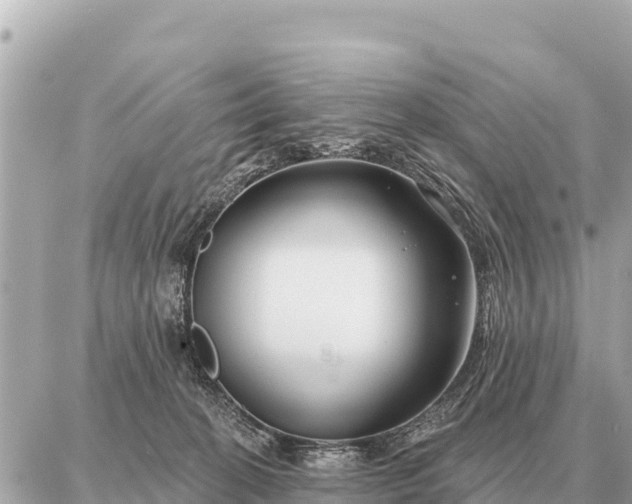 X0000086980274200704231827