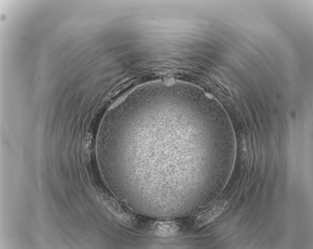 X0000086980275200704231827