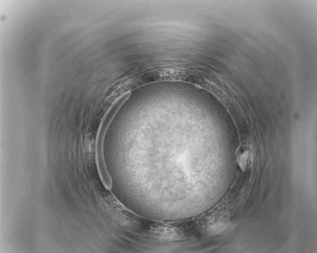 X0000086980276200704231827