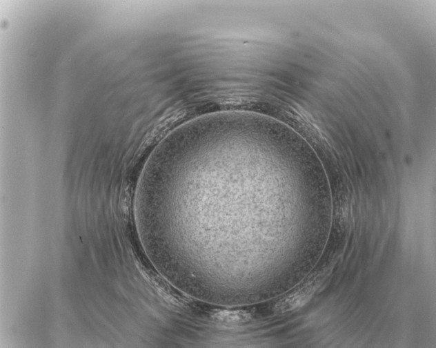 X0000086980277200704231827