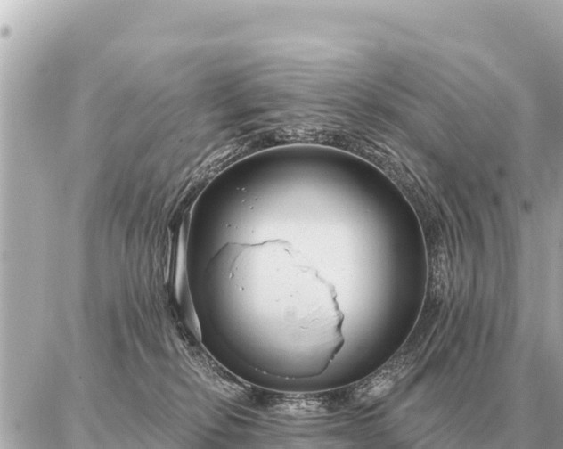 X0000086980278200704231827