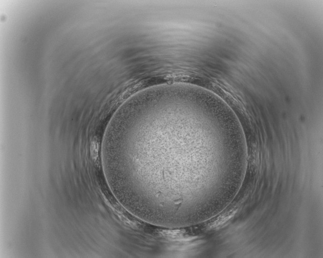 X0000086980281200704231827