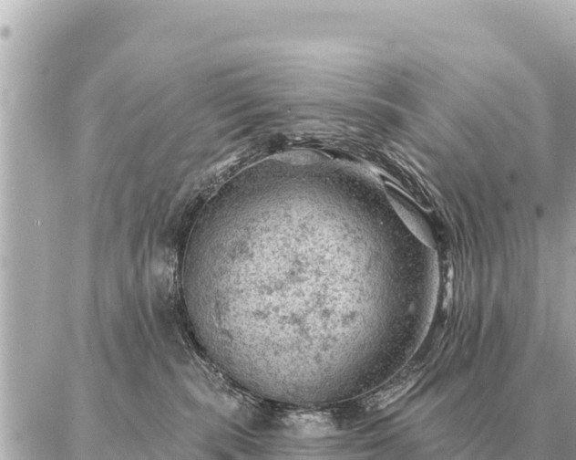 X0000086980283200704231827