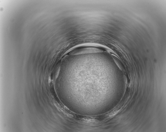 X0000086980284200704231827