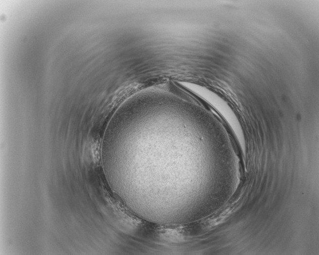 X0000086980285200704231827