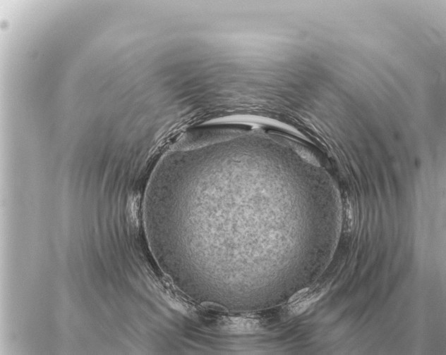 X0000086980286200704231827