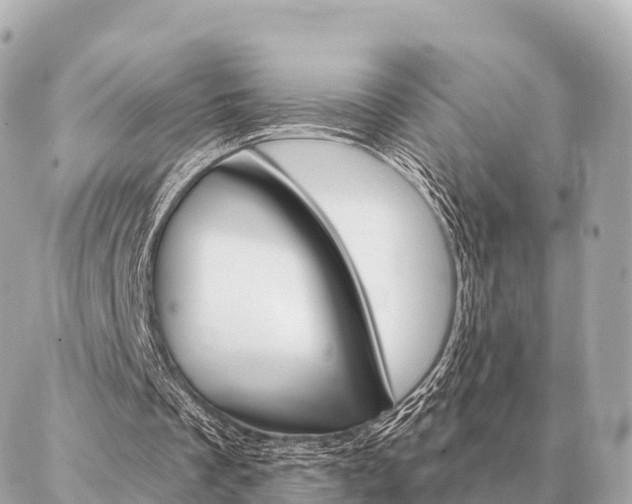 X0000086980289200704231826