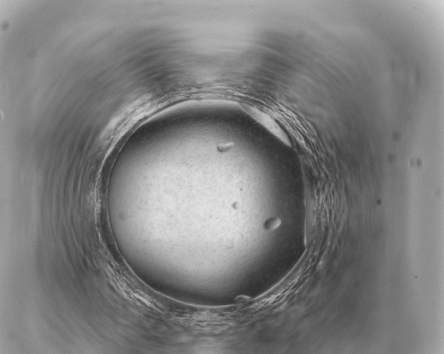 X0000086980290200704231826