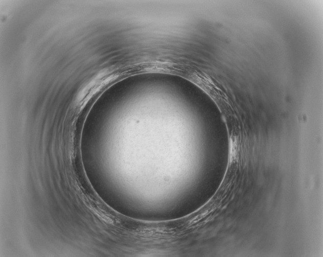 X0000086980291200704231826